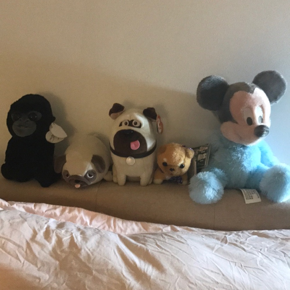 🍋 HELP US TO FIND NEW HOME 🙏